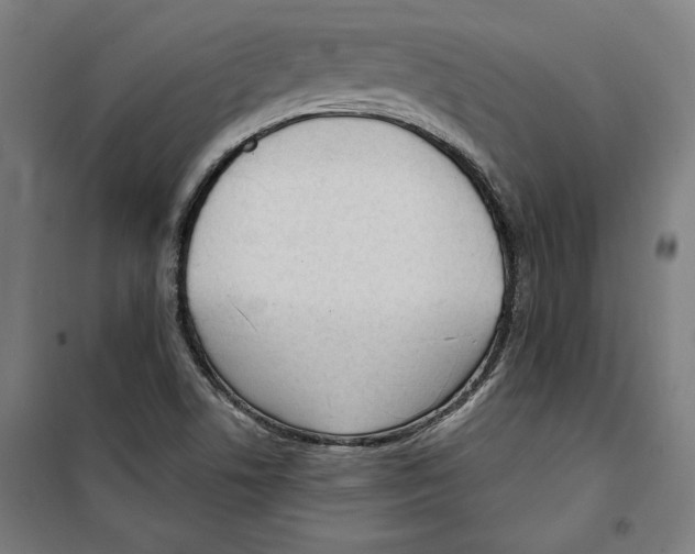 X0000100321506200807031158