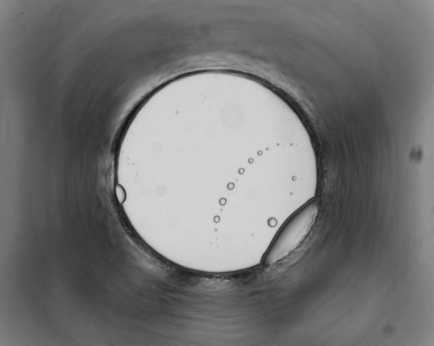 X0000100321509200807031158