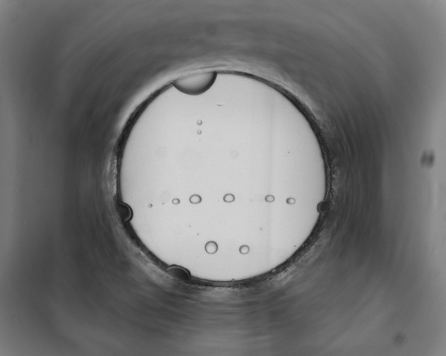 X0000100321510200807031158