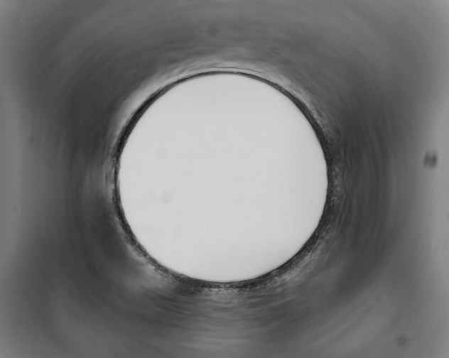 X0000100321511200807031158