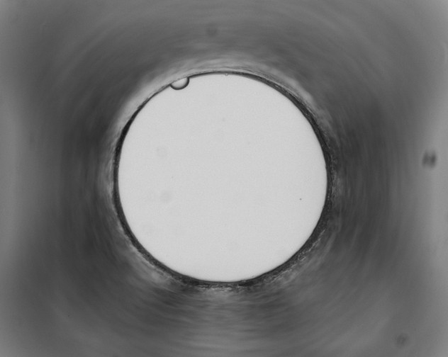 X0000100321512200807031158