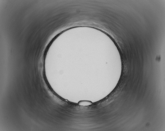 X0000100321515200807031158