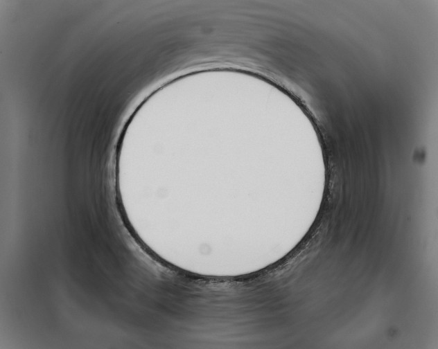 X0000100321516200807031158