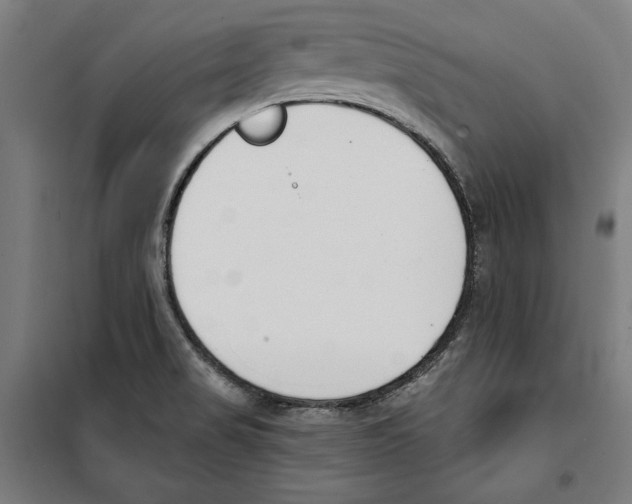 X0000100321517200807031158