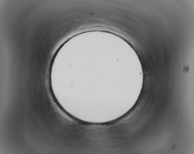 X0000100321518200807031158