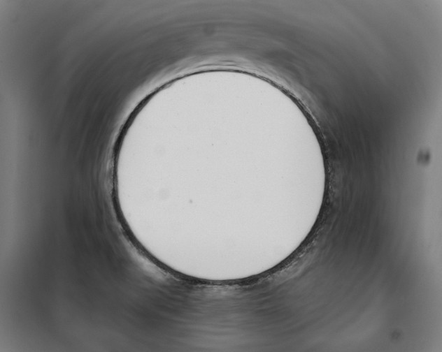 X0000100321519200807031158