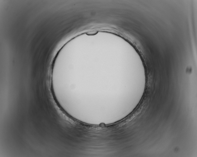 X0000100321520200807031158