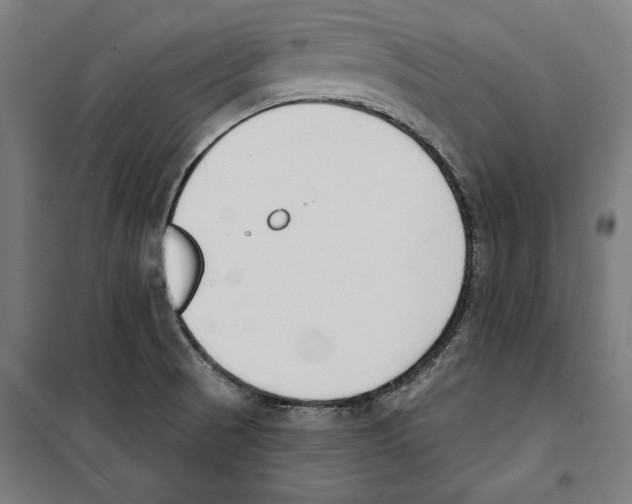 X0000100321521200807031158