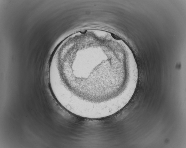 X0000100321522200807031158