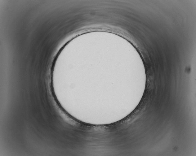 X0000100321523200807031158