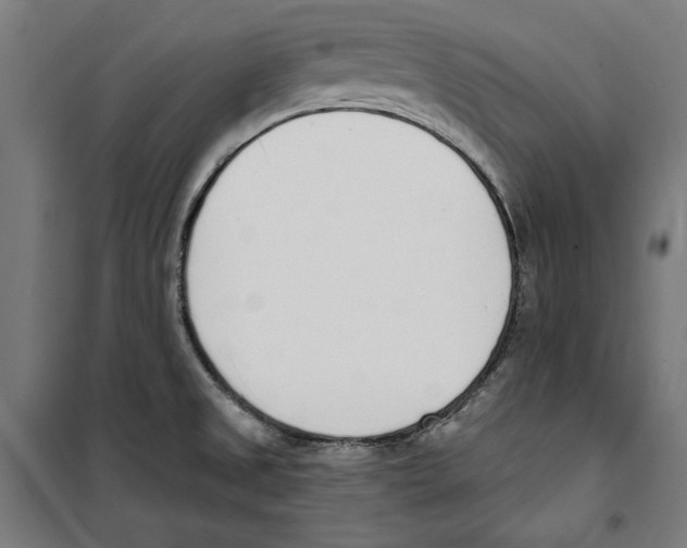 X0000100321525200807031158