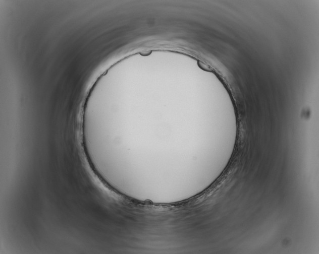 X0000100321528200807031158