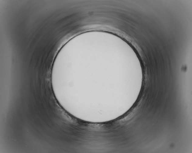 X0000100321529200807031158