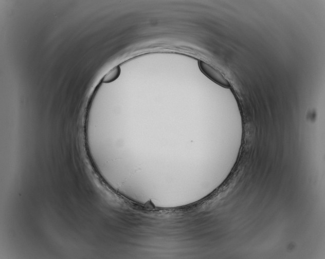 X0000100321530200807031158