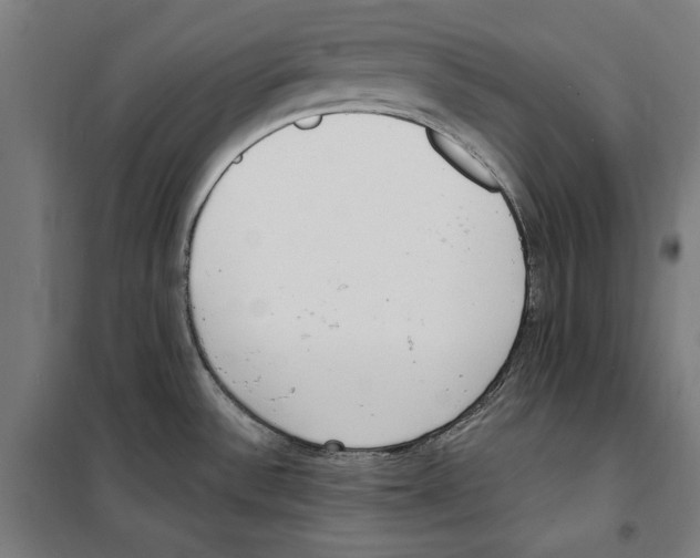 X0000100321532200807031158