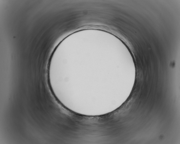 X0000100321533200807031158