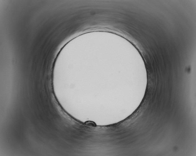 X0000100321534200807031158