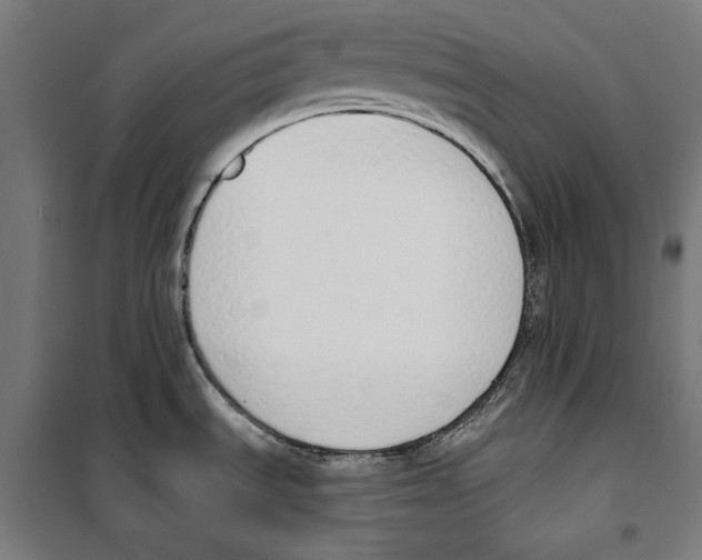 X0000100321535200807031158