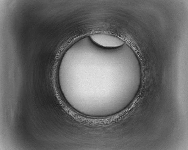 X0000100330001200806051213
