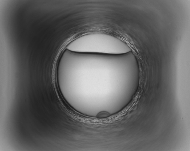 X0000100330003200806051213
