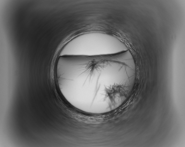X0000100330004200806051213