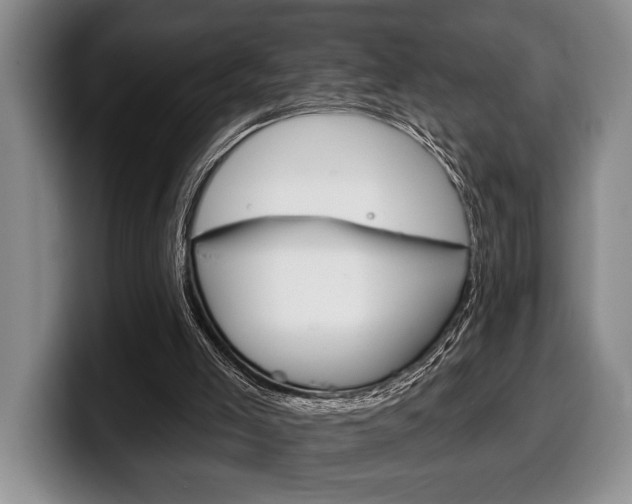 X0000100330005200806051213