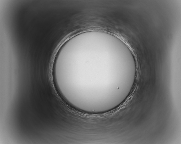 X0000100330007200806051213
