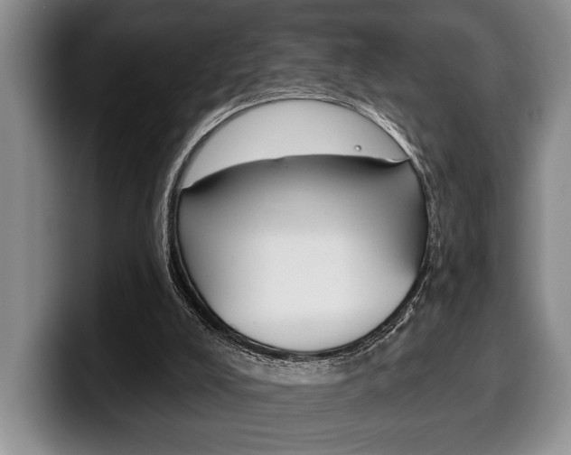 X0000100330008200806051213