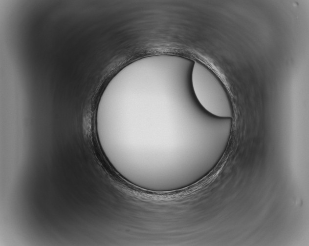 X0000100330010200806051213