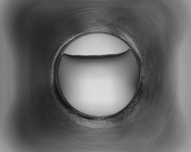 X0000100330012200806051213