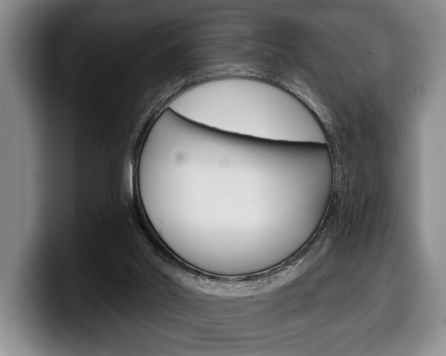 X0000100330014200806051213