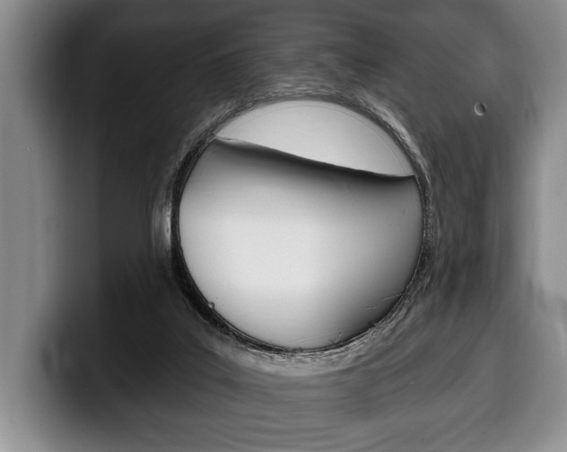 X0000100330019200806051213