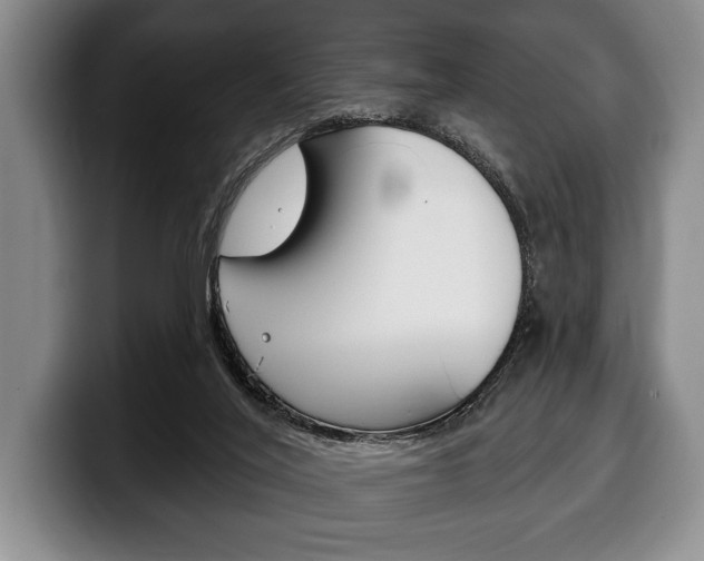 X0000100330020200806051213