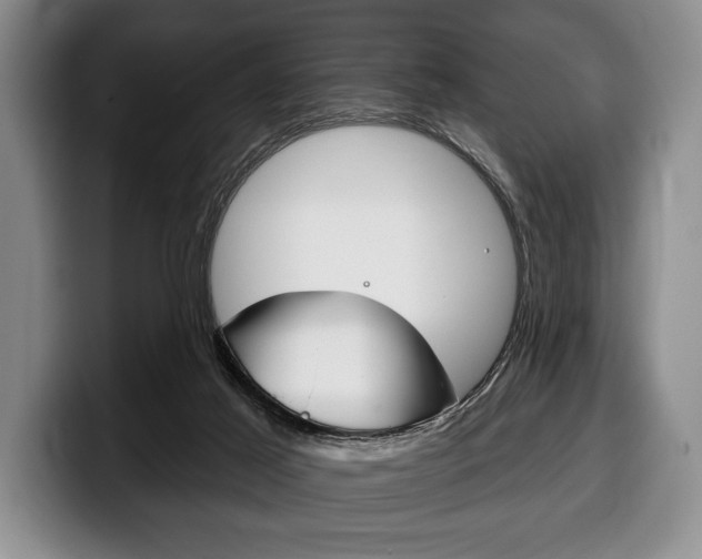 X0000100330021200806051213
