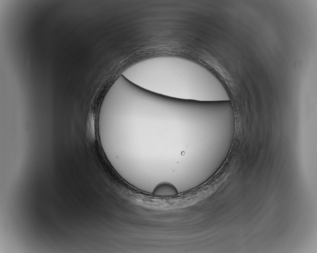 X0000100330022200806051213