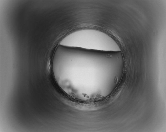 X0000100330024200806051213