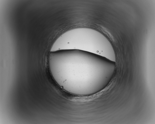 X0000100330025200806051213