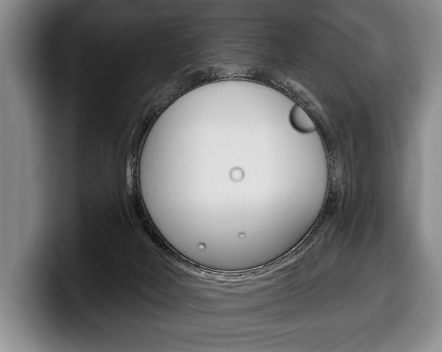 X0000100330026200806051213