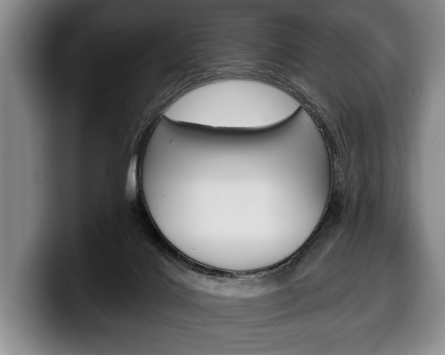 X0000100330028200806051213