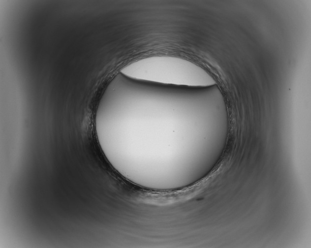 X0000100330029200806051213
