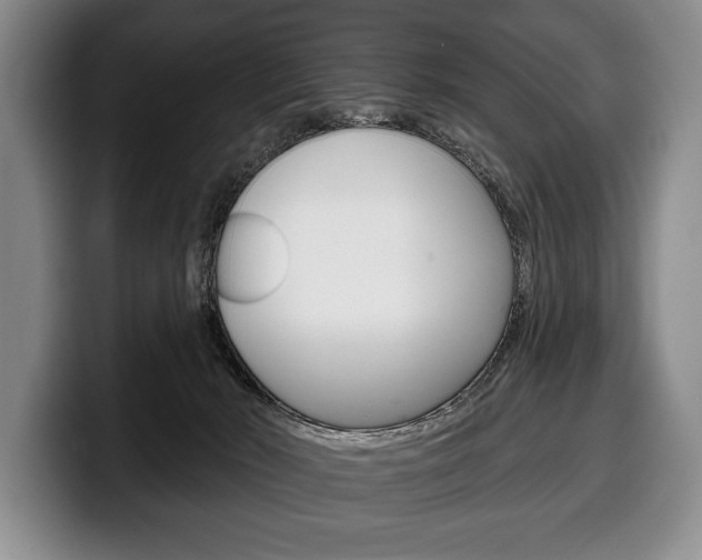 X0000100330030200806051213