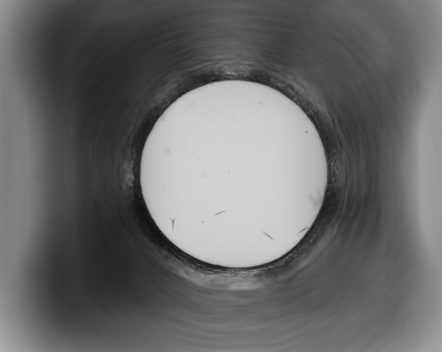 X0000100330032200806051213