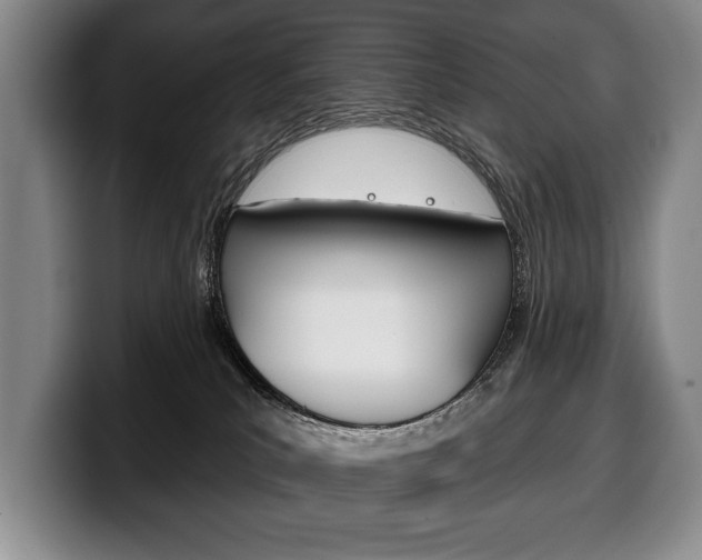 X0000100330039200806051213