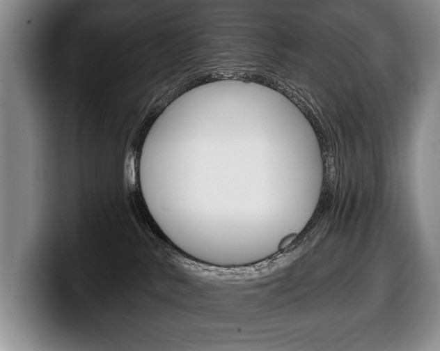 X0000100330042200806051213