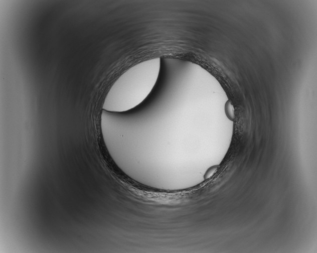 X0000100330044200806051213