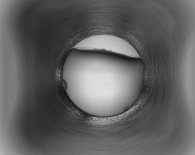 X0000100330045200806051213