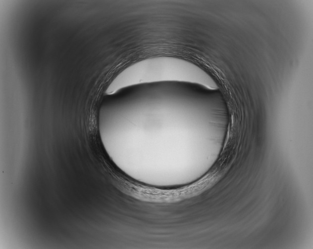 X0000100330048200806051213