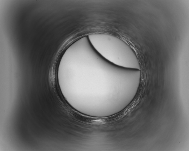 X0000100330053200806051212