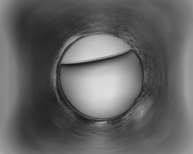 X0000100330054200806051212
