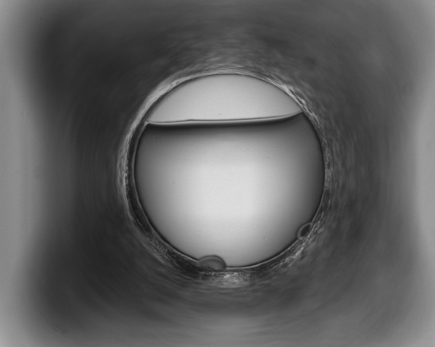 X0000100330056200806051212